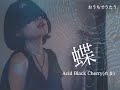 蝶/Acid Black Cherry【covered by めま】 butterfly / acid black cherry (mema)