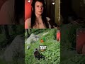 The Infinite Pocket Logic in Gaming
