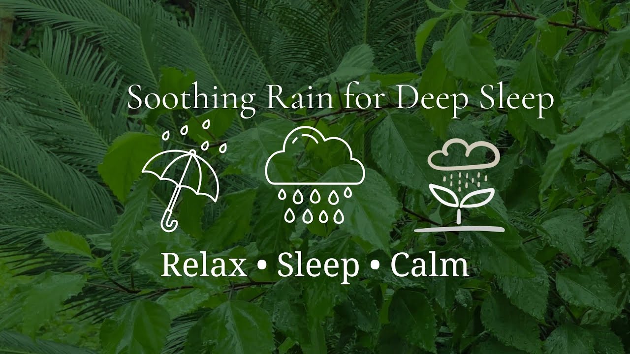 Gentle Garden Rain Sounds 🌧 | Deep Sleep Rain, Stress Relief & Calm