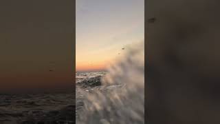 SUNSET AT LAKE MICHIGAN | Through Indiana Dunes National Park 🏞️💦🌅