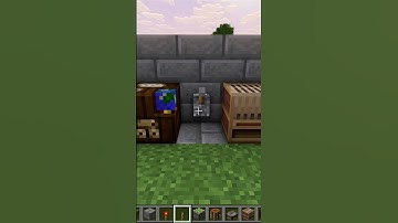 Dubble Items Swapper in Minecraft #shorts #minecraft