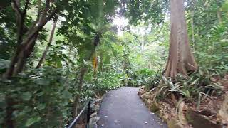 Brisbane City Botanic Gardens #Botanic #brisbane