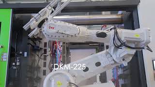 DKM Pallet Molding Line
