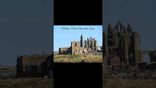 Whitby, UK | Travel Shorts #travel #travel #beach #travelvlog #trending #trendingshorts #uk