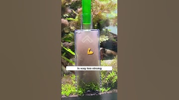 Siphon Gravel Cleaner For your Aquarium