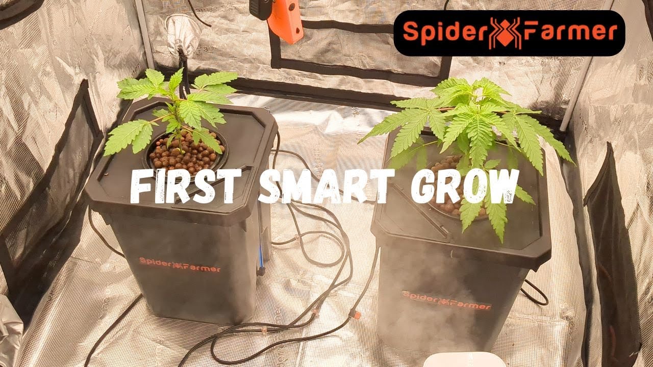 My First Smart Grow Setup w/ Spider Farmer GGS | Early Veg