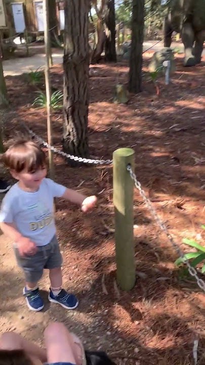 dinosaur-world-somerville-youtube