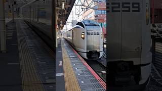 E259系成田エクスプレス千葉駅ゆっくり通過#jr #本線 #電車 #train #railway #勝子の投稿 #music