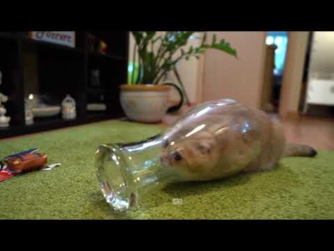 I found a large glass