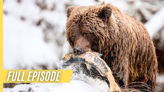 Wild Canada - The Wild West | Full Episode