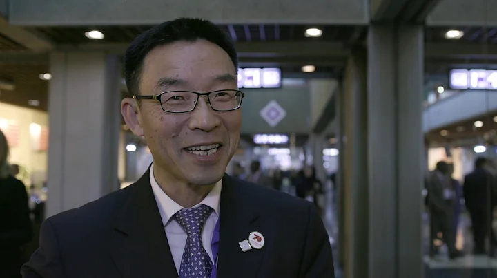 Interview with Chen Guomin, MP  The Chinese Parlia...