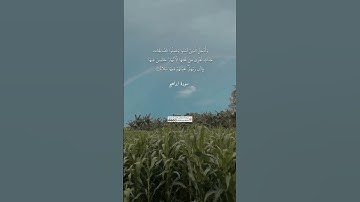 تلاوة من الخيال من سورة ابراهيم بصوت القارئ ريان المحيسني