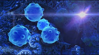 Innate Lymphoid Cells by Professor Dave Explains 10,338 views 1 month ago 9 minutes, 45 seconds