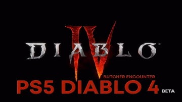 Diablo 4 - THE BUTCHER - BETA - Rogue Gameplay
