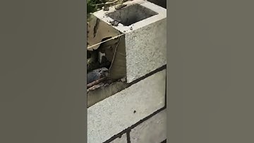 Smart Technique for Easy and Precise Brick Installation Using a Simple Tool #shorts