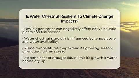 Is Water Chestnut Resilient To Climate Change Impacts? - Ecosystem Essentials