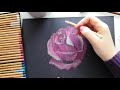 Как нарисовать цветок розу.