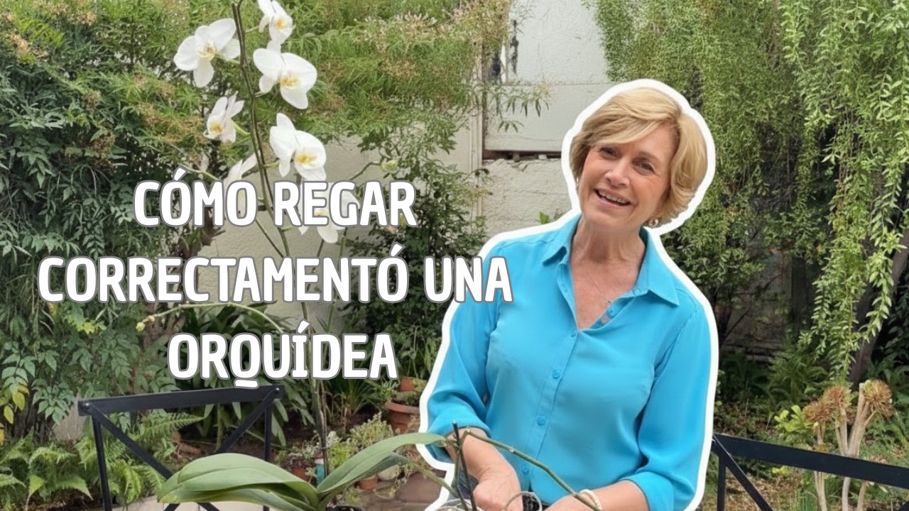 COMO REGAR CORRECTAMENTE UNA ORQUÍDEA  🌱
