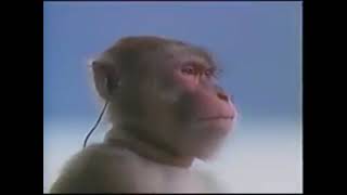 Monkey listening to “Irregular God” (Tower of God Soundtrack)