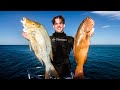 WHITSUNDAYS PART 1 - One Week On A Catamaran (Spearfishing Great Barrier Reef)