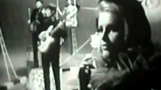 The Animals - Bring It On Home To Me  - stereo remix chords