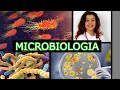 MICROBIOLOGIA- FUNGOS