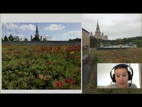Исследования городских почв. Зеленые крыши.