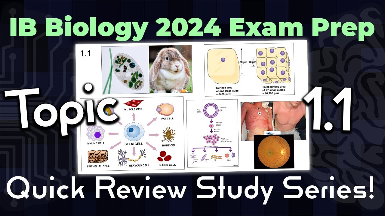 [OLD2016] IB Bio Topic 1.1: Introduction to Cells - 2024 Exam QUICK ...