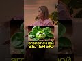 Как питаться полезно ПО НАУКЕ?
