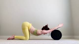 Puppy Pose Roll-Outs On Body Wheel