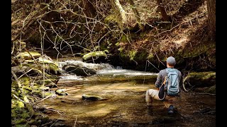 Untamed Waters  Fly Fishing for Wild Trout in the Catskill Mtns (Part 1)