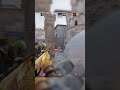 Prime KennyS gameplay #cs2 #cs2clips #twitchclips #cs2funny
