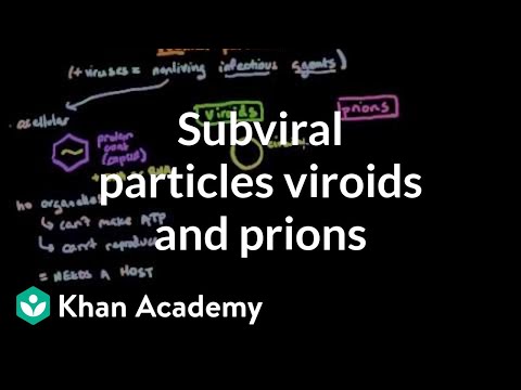 Video: Forskjellen Mellom Prions Og Viroids