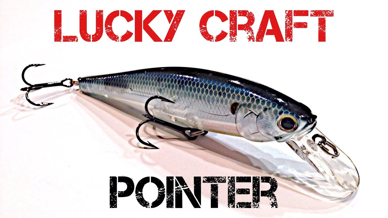 Lure Review- Lucky Craft Pointer 