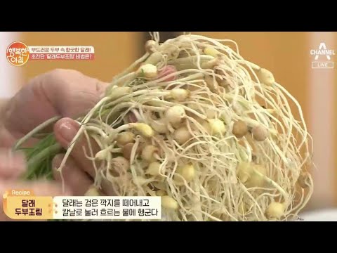 [초간단 레시피] 향긋한 '달래두부조림' 만들기 ① | 행복한 아침 291 회
