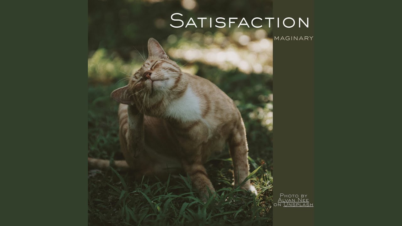 Watch Satisfaction on YouTube Watch Satisfaction on YouTube