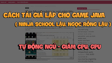 Cách Tải Giả Lập TỰ ĐỘNG NGỦ Để Chơi Game Java Ninja School, Ngọc Rồng Online,... | Tân Talents