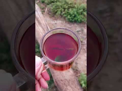 كوب شاي تحت المطر تع ديل مزاج