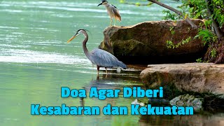 Doa Agar Diberi Kesabaran dan Kekuatan | Interaktif