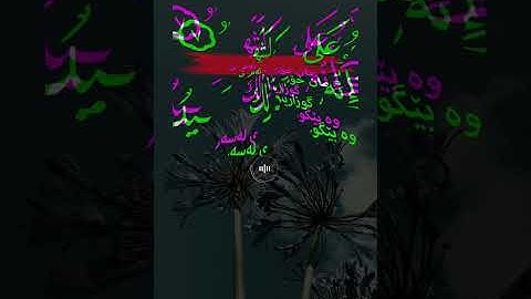 سورة العادیات القارئ خالد الجلیل