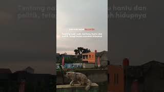Laki-laki Boleh Cerita Absurd Tapi jangan cerita Hidup #shortvideo #storywa