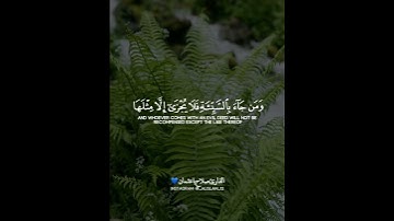 قرآن كريم بصوت خاشع ❤🌿 القارئ صلاح باعثمان  | حالات واتس اب دينية قصيرة 🎧💙