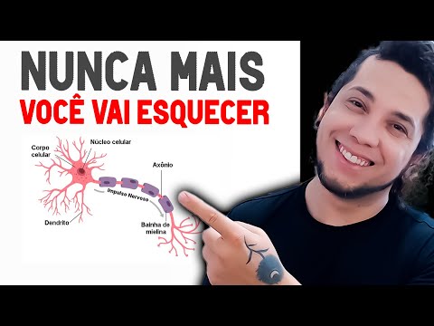 Por que temos Pedrinhas na Garganta?│BioSaúde #74 