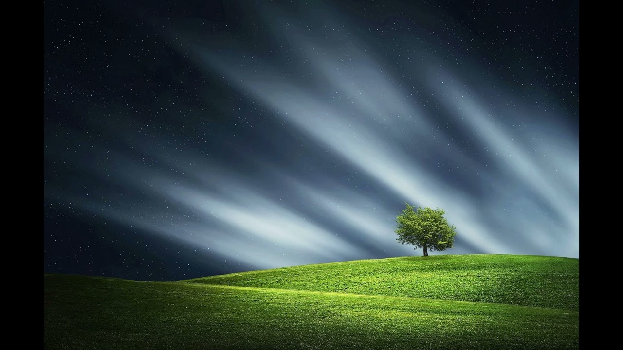 I Love Destruction When It Serves Love - Alge