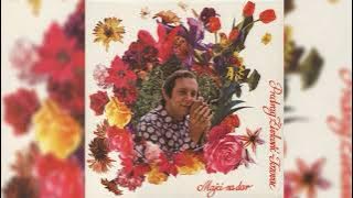 PREDRAG ŽIVKOVIĆ TOZOVAC  -  HOĆU MAJKO PA HOĆU