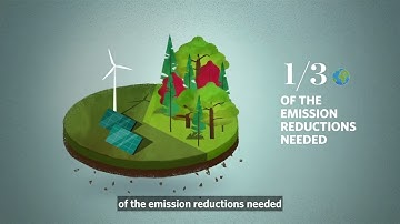 Why Canada Needs to Unlock Nature