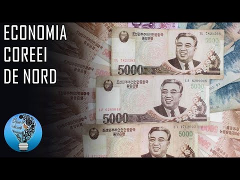 Video: Cum Să Faci Bani în Nord