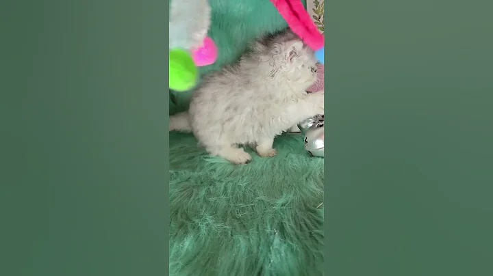 Watch the video about Is it time to play on #shorts