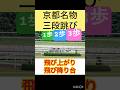 【京都名物・三段跳】飛び上がり飛び降り台。1歩2歩3歩 #shorts #short