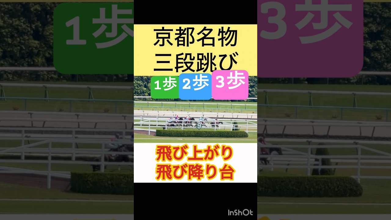 【京都名物・三段跳】飛び上がり飛び降り台。1歩2歩3歩 #shorts #short